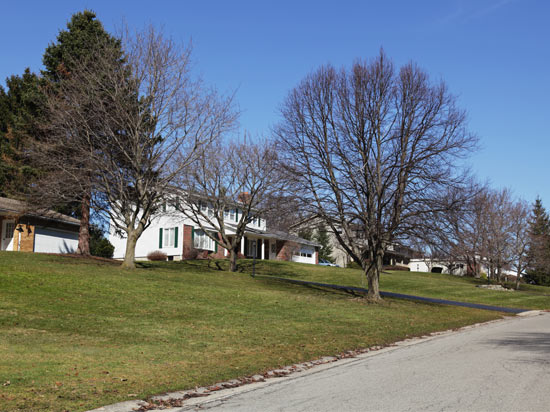 Street view of a suburban house with white siding and brick front with trees and a green grass lawn