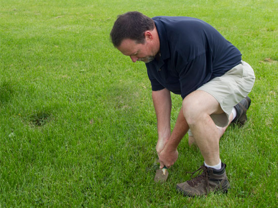 A man wearing gray shoes, white socks, khaki shorts and a navy shirt bending over to dig a hole in a green grass lawn; depend on licensed contractor for your underground pet fence installation.